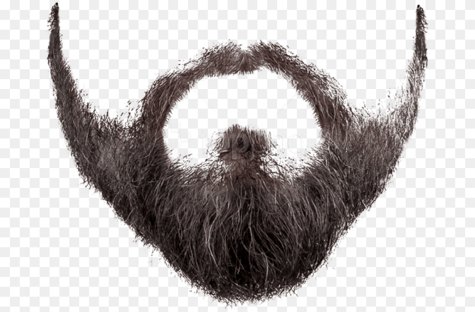 Beard And Images Background Beard, Face, Head, Person, Mustache Free Png Download