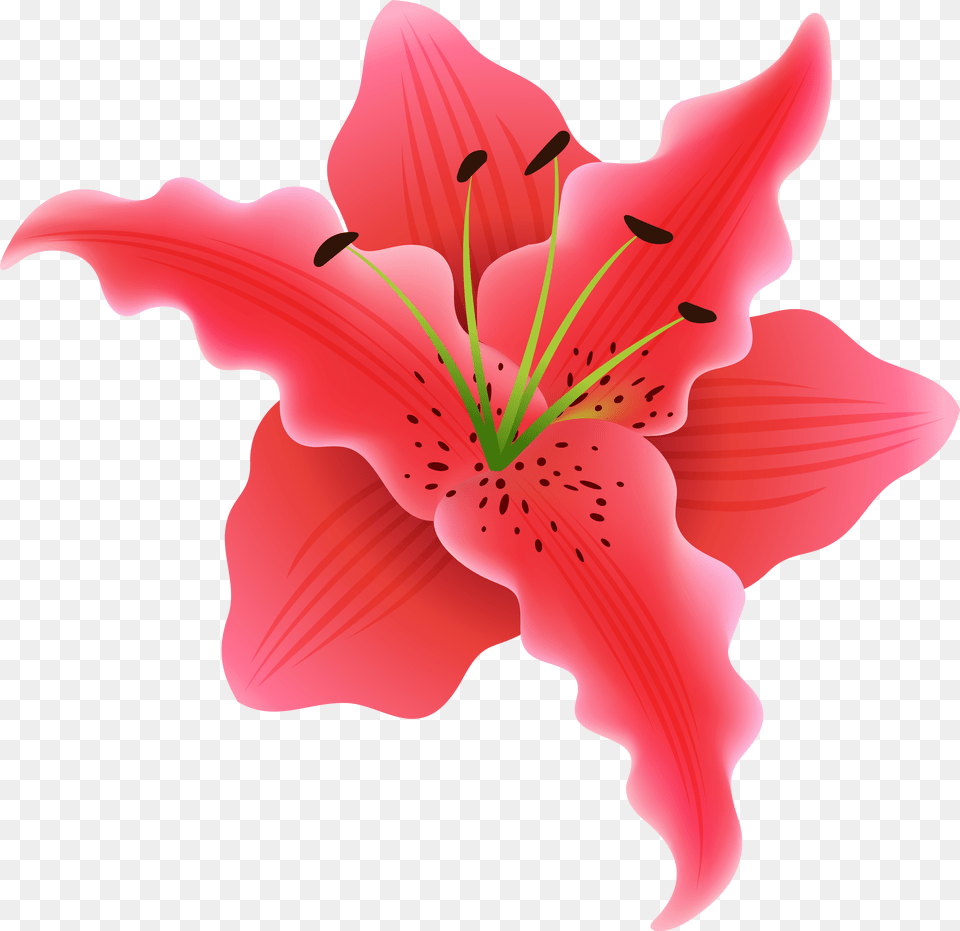 Download Beautiful Exotic Flower Clipart Image Flower, Plant, Petal, Lily, Animal Png