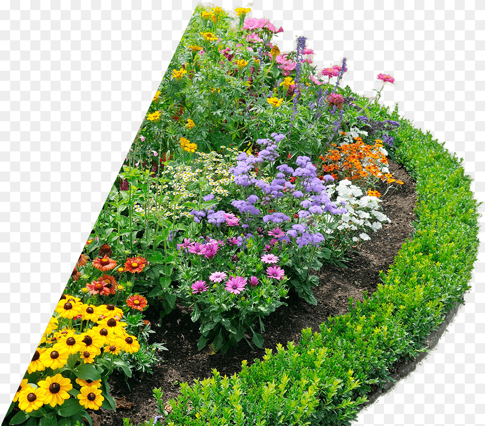 Beautiful Flower Bed Perennial Flower Garden Layout, Geranium, Daisy, Plant, Outdoors Free Png Download