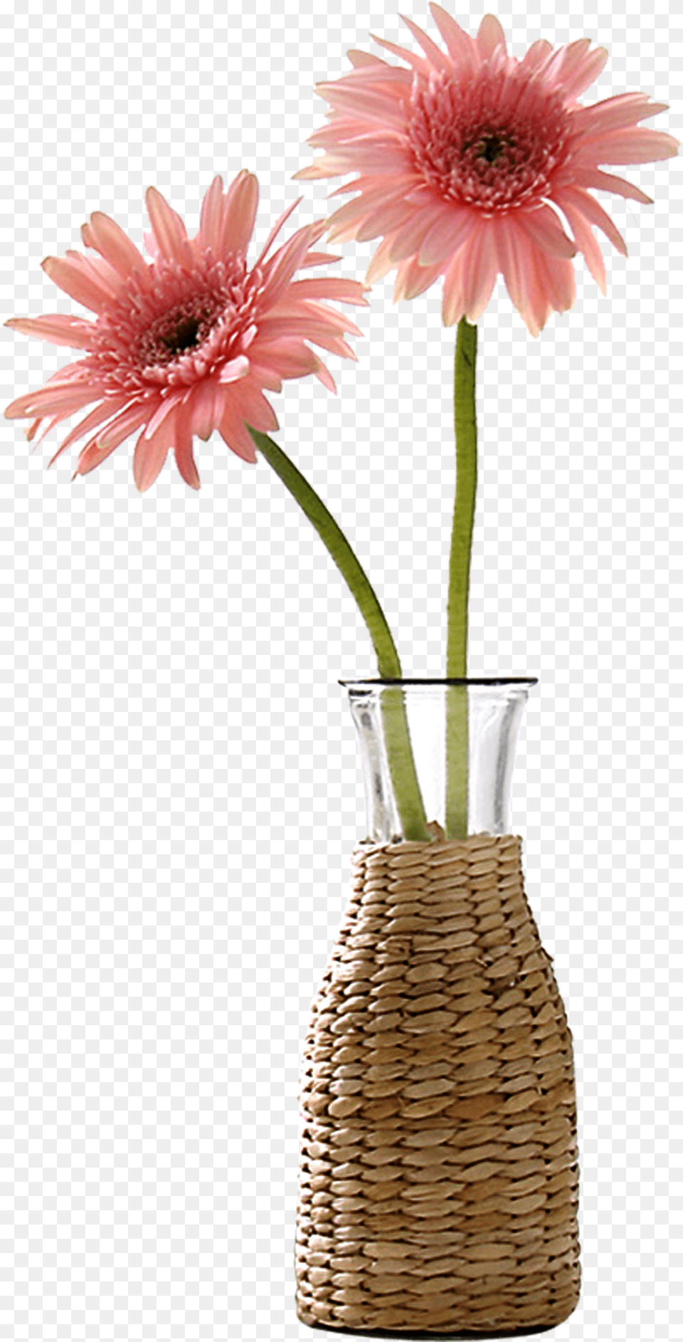 Download Beautiful Vase Flower Decoration Vector Vase Vase With A Flower, Daisy, Pottery, Plant, Jar Png Image