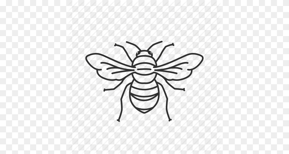 Download Bee Drawing Clipart Bee Drawing Clip Art, Nature, Outdoors, Pattern, Snow Free Png