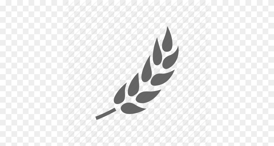 Download Beer Wheat Icon Clipart Wheat Beer Clip Art Beer Wheat, Grass, Plant, Food, Grain Png