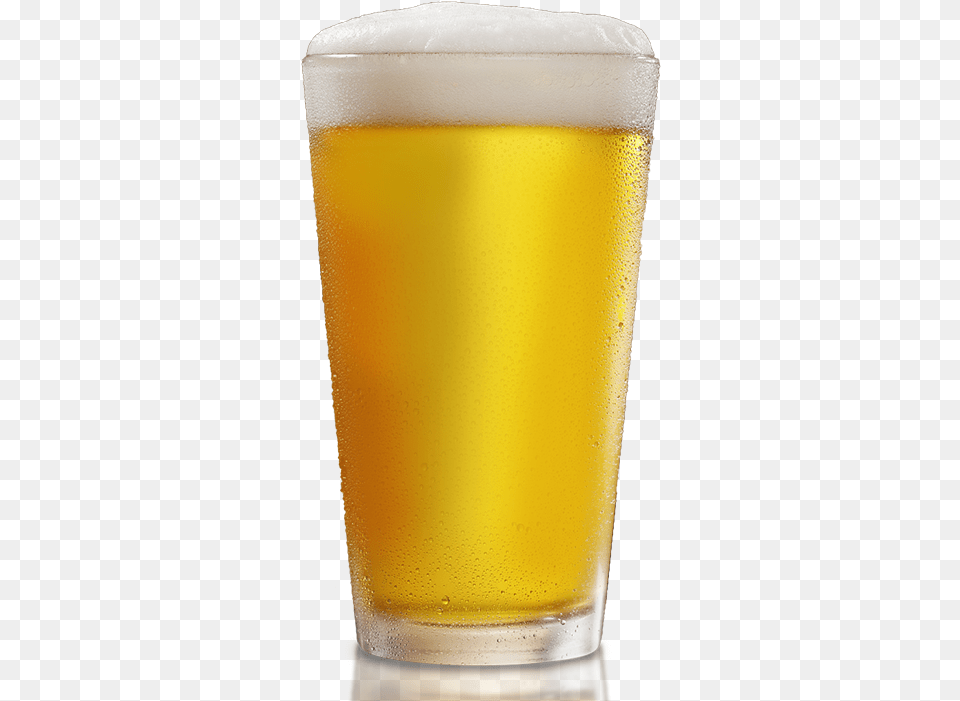 Download Beers Lager, Alcohol, Beer, Beer Glass, Beverage Free Png