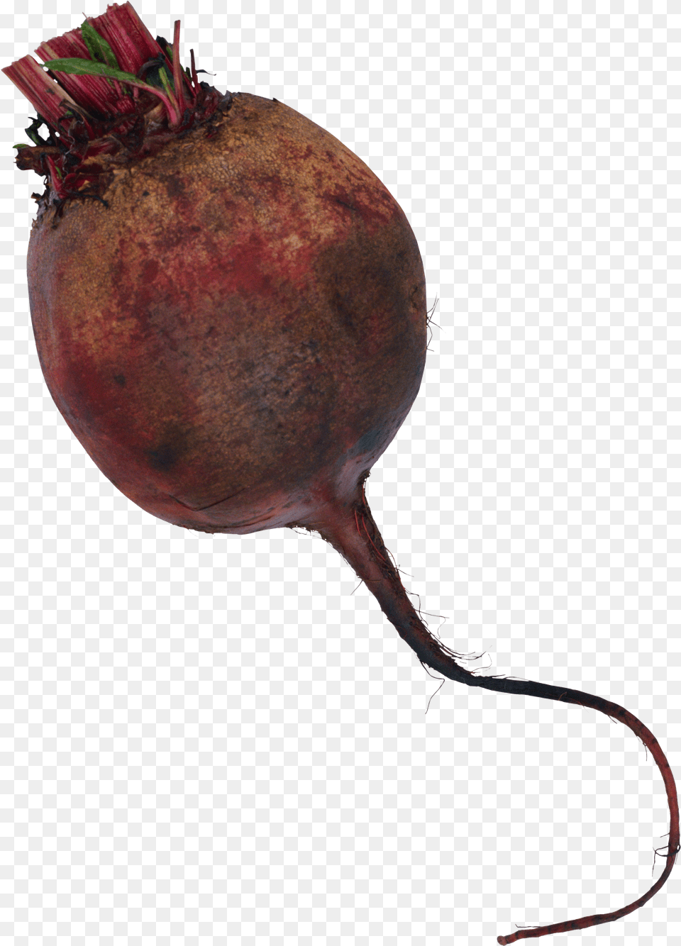 Beet Image For Free Png Download