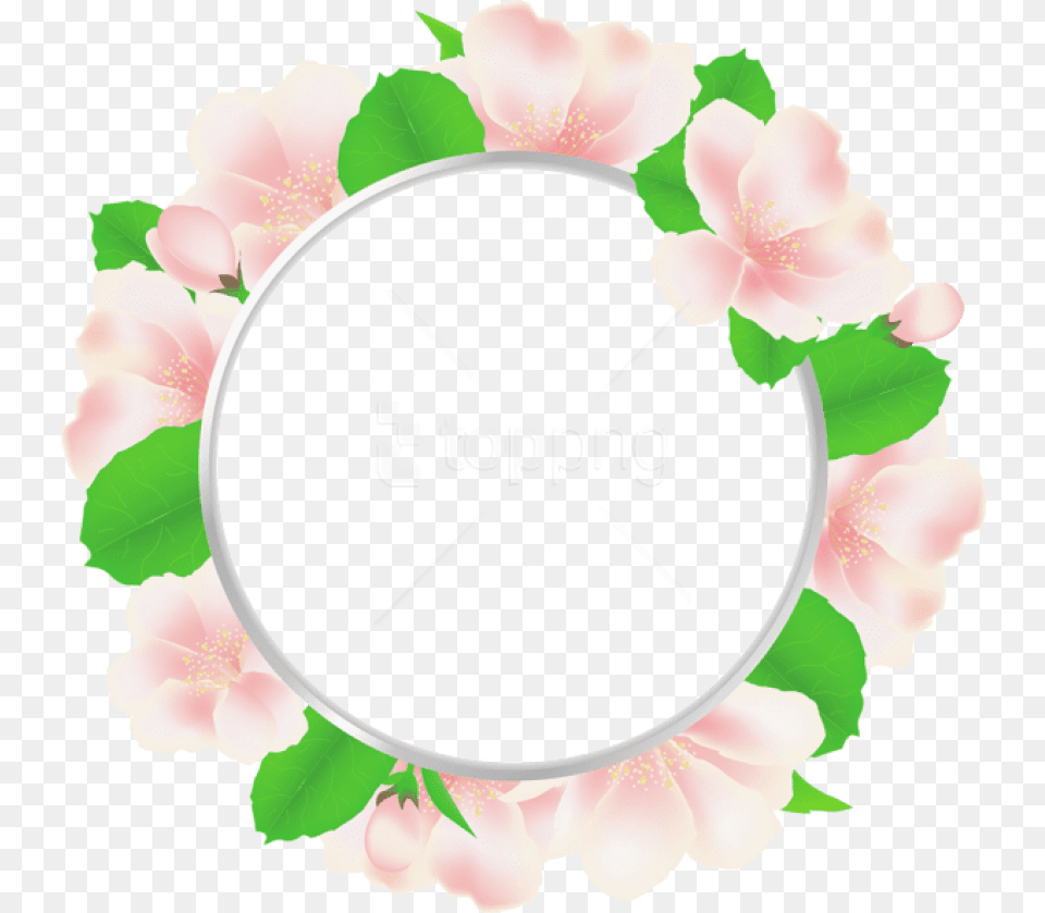 Download Best Stock Photos Large Round Flower Frame, Petal, Plant, Anemone, Rose Png