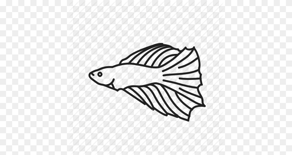 Betta Fish Icon Clipart Siamese Fighting Fish Aquarium, Hoop, Helmet Free Png Download