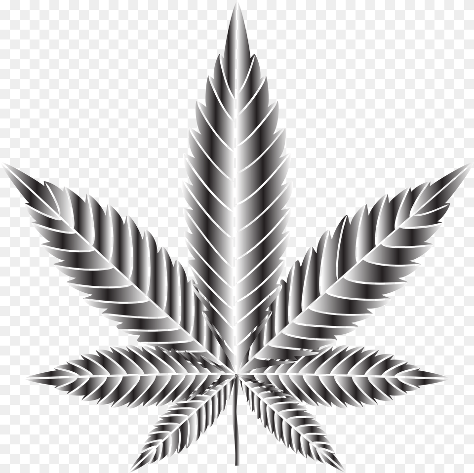 Download Big Image Cannabis, Leaf, Plant, Chandelier, Lamp Free Png