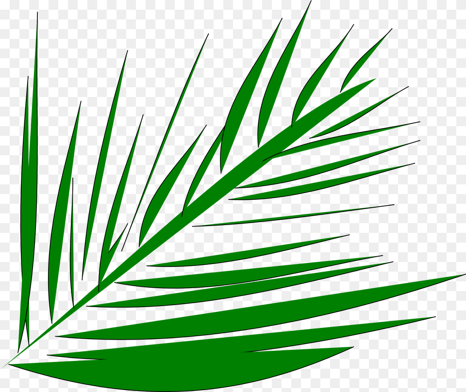 Download Big Image Palm Leaves Clipart Full Palm Trees Clip Art Branches, Green, Leaf, Plant, Vegetation Free Png