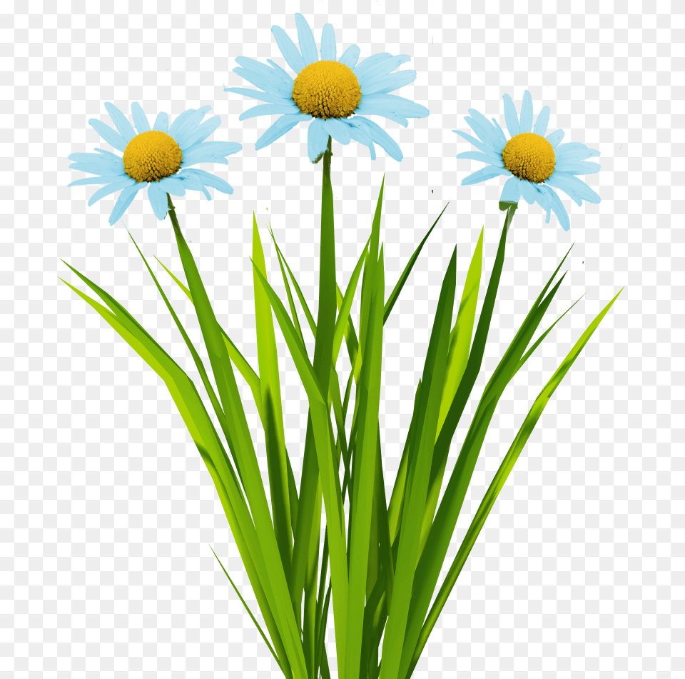 Billboard Texture Flower Grass Cartoons, Daisy, Plant Free Png Download