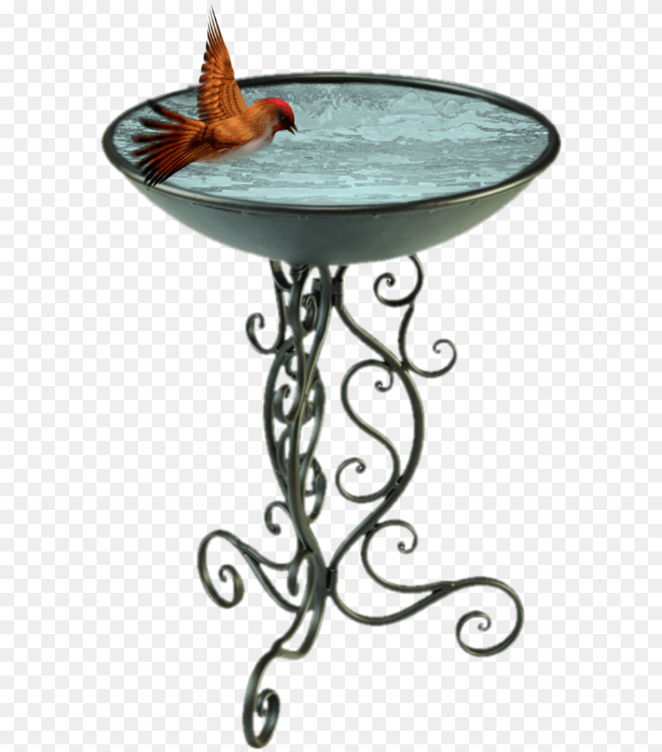 Download Bird Bath Clipart Transparent Gardman Ornate Birds Bath, Animal, Birdbath Free Png