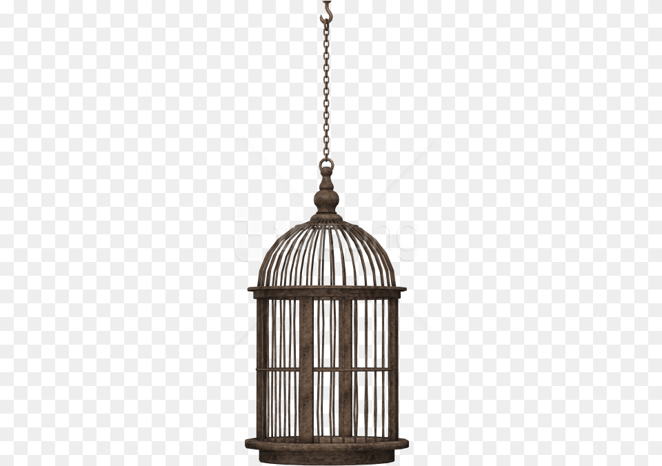 Download Bird Cage Images Background Bird In Cage, Lamp, Chandelier Free Transparent Png