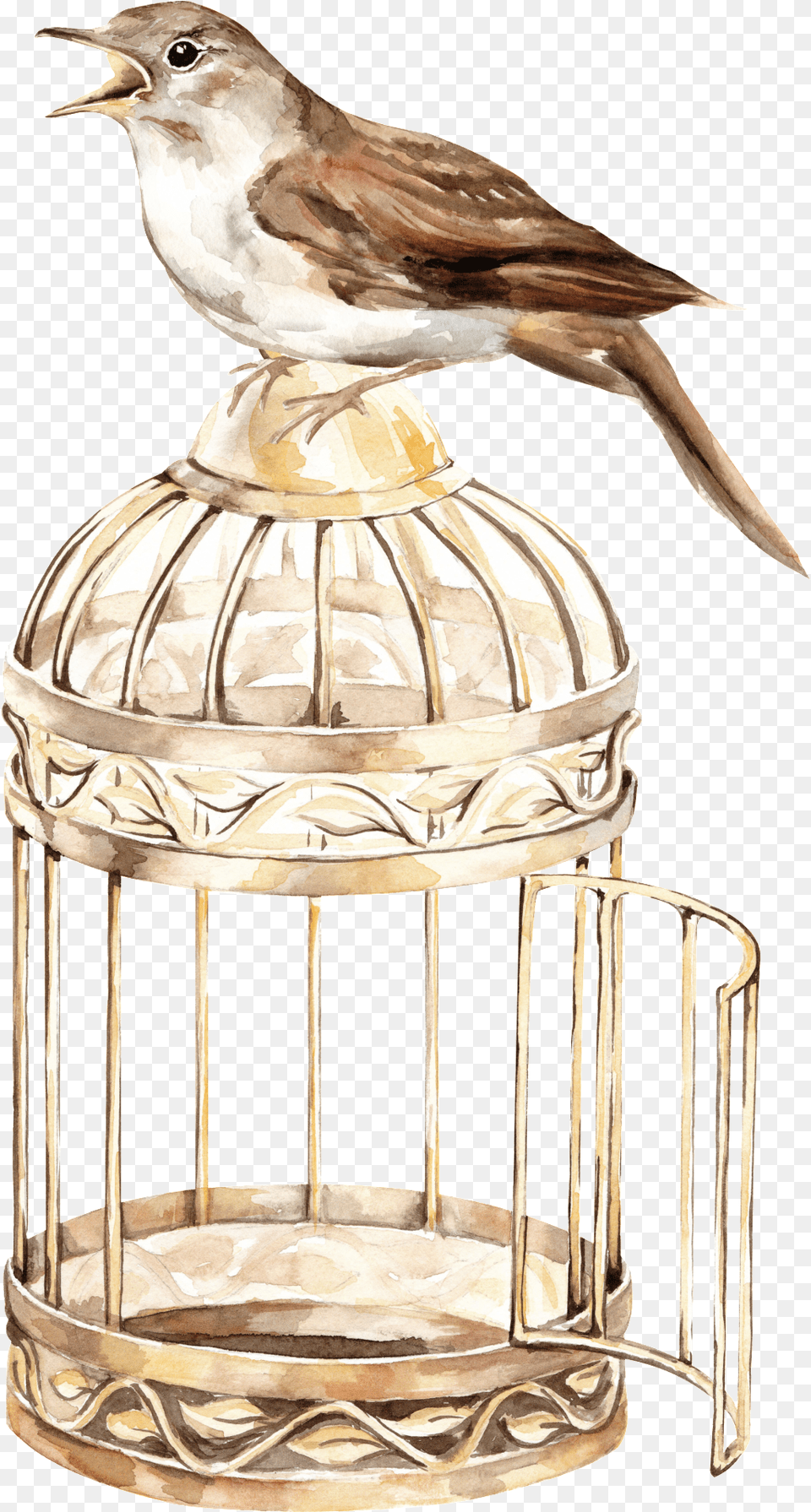 Download Bird Cage Transparent Background Full Size Transparent Background Bird Cage, Animal, Finch, Anthus Free Png