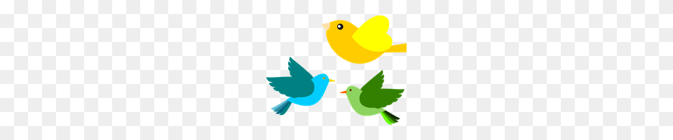 Download Bird Category Clipart And Icons Freepngclipart, Animal, Canary Free Transparent Png