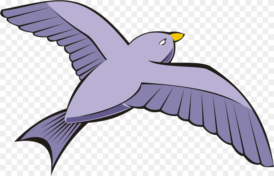 Download Bird Columbidae Rock Dove Bird Flying Clipart, Animal, Seagull, Waterfowl, Blackbird Free Png