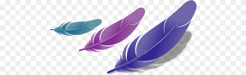 Bird Feather Fascinating Feathers 572x294 Bird Feather, Bottle, Animal, Fish, Sea Life Free Png Download