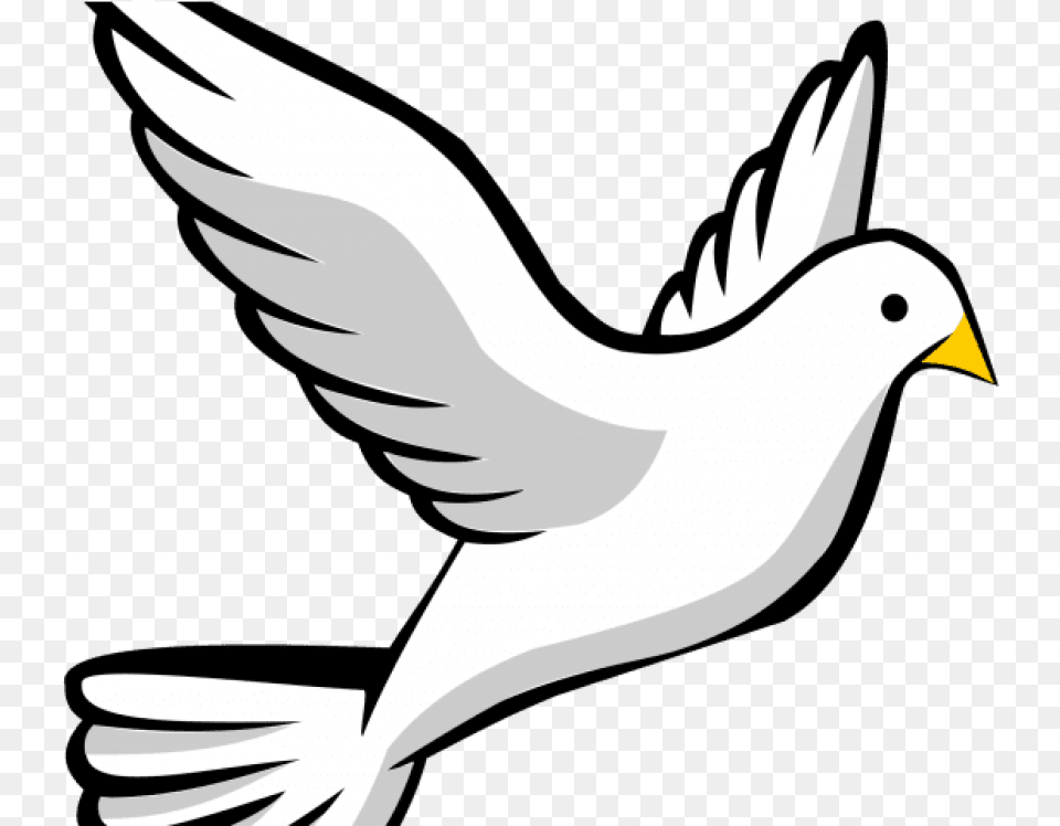 Download Bird Flying Clipart Clip Art Flying Bird Holy Communion Clip Art, Animal Free Png