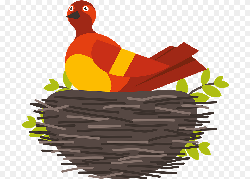 Bird In The Nest Clipart Illustration, Animal, Beak Free Png Download