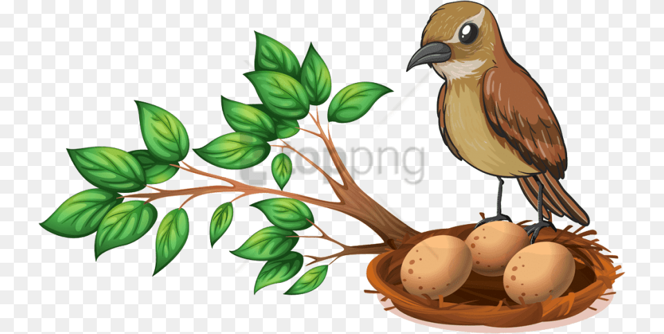 Download Bird Nest On Tree Images Background Bird Nest In Tree Clipart, Leaf, Plant, Animal, Herbal Free Transparent Png