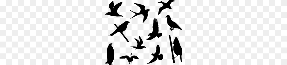 Download Bird Silhouette Vector Clipart Bird Clip Art, Stencil, Animal, Flock Png