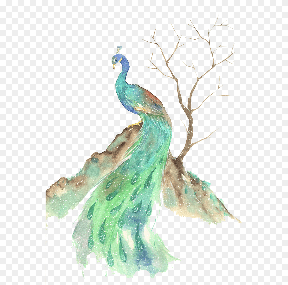 Download Bird Watercolor Painting Illustration Watercolor Canvas Beautiful Peacock Painting, Animal Png Image