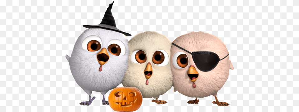 Download Birds, Food, Plant, Produce, Pumpkin Free Transparent Png