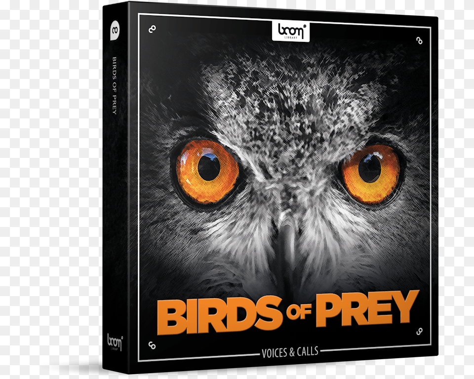 Download Birds Of Prey Sound Effects Library Product Box Bird Of Prey, Animal, Beak, Computer, Electronics Png Image