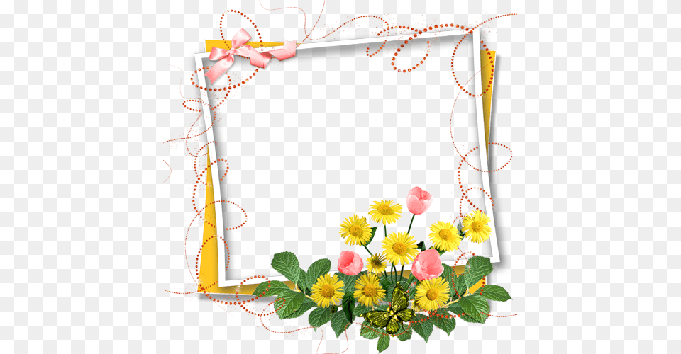 Download Birthday Wishes Frame Clipart Greeting Note Cards, Plant, Flower, Flower Arrangement, Flower Bouquet Png Image