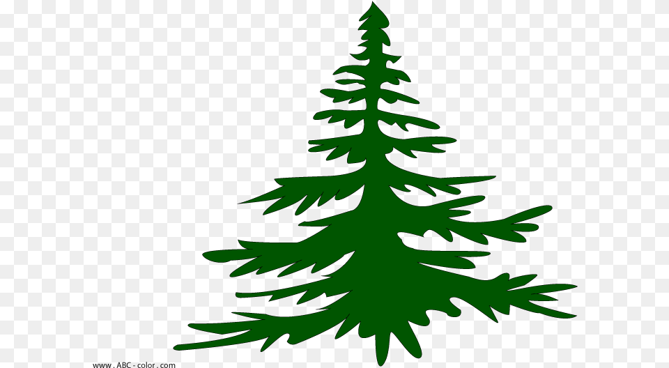 Bitmap Clipart Fir Tree Christmas Tree, Plant, Pine, Conifer Free Png Download