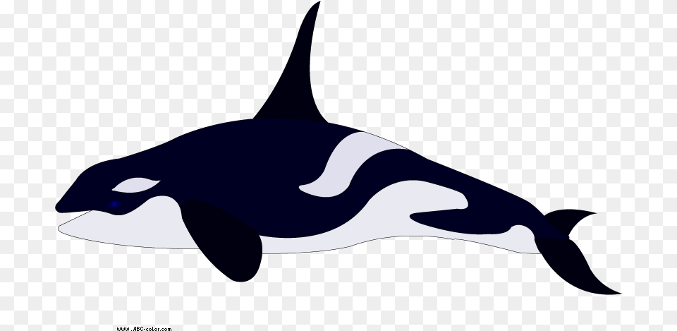 Bitmap Picture Killer Whale Los Delfines Para Colorear, Animal, Sea Life, Mammal, Orca Free Png Download