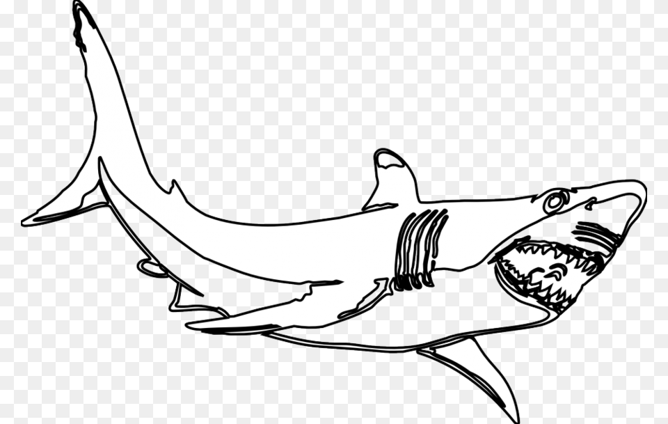 Download Black And White Shark Clip Art Clipart Great White Shark, Animal, Fish, Sea Life Png