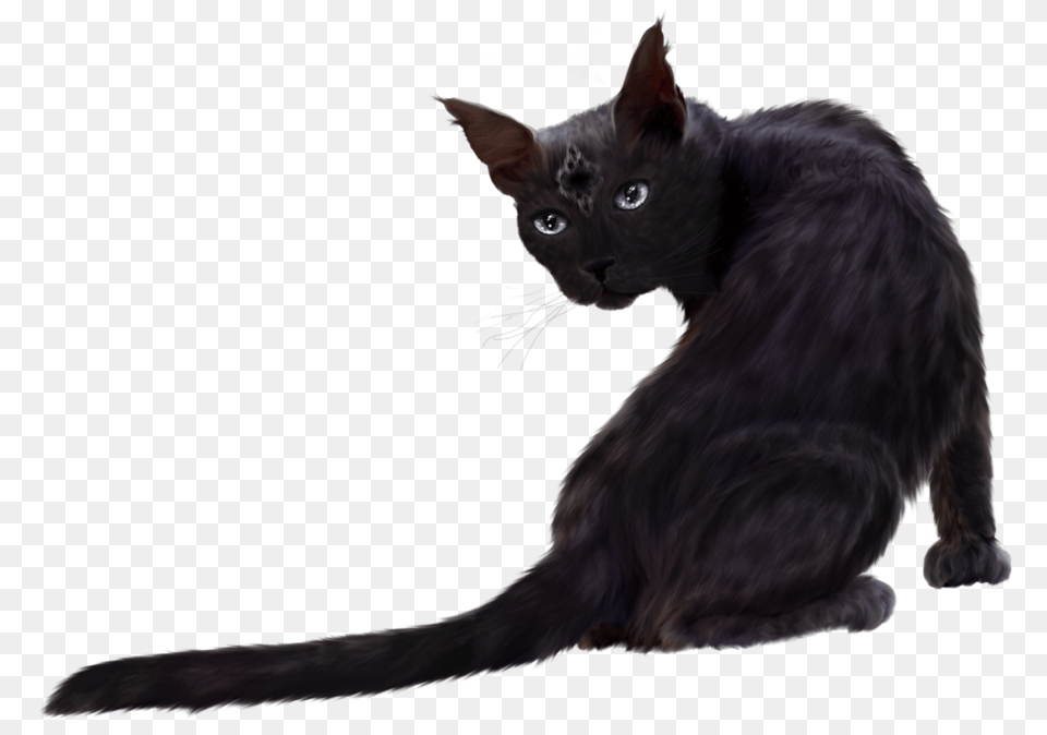 Download Black Cat Clipart Black Cat, Animal, Mammal, Pet, Black Cat Free Png