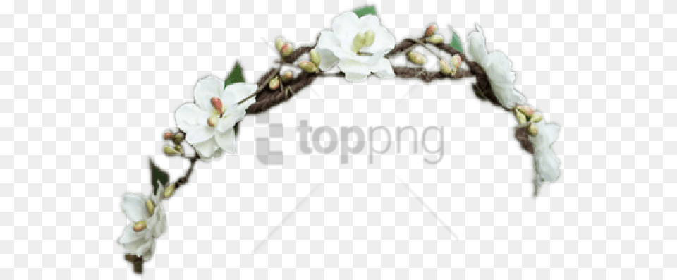 Download Black Flower Crown Transparent Wisteria, Arch, Architecture, Plant, Accessories Png