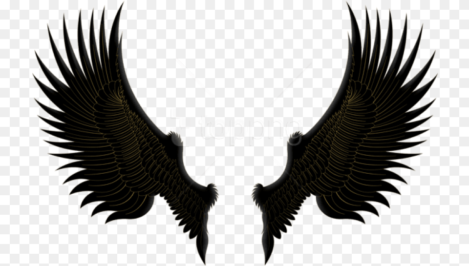 Download Black Gold Wings Clipart Photo Black And Gold Wings, Animal, Bird, Vulture, Eagle Png