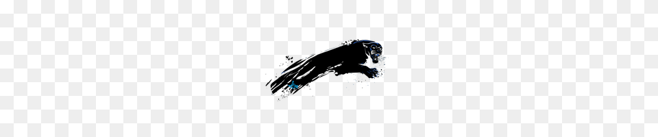 Black Panther Photo Images And Clipart Freepngimg, Animal, Water Sports, Water, Swimming Free Png Download