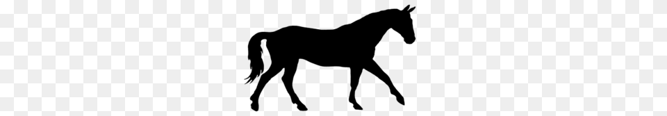 Download Black Silhouette Horse Clipart Horse Equestrian Clip Art, Animal, Colt Horse, Mammal, Accessories Png
