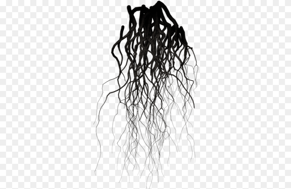 Download Black Veins Images Background Transparent Background Roots, Plant, Root, Person Png