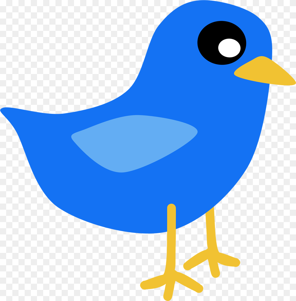 Download Blue Bird Vector Art Clipart Blue Bird Cartoon Easy, Animal, Beak, Jay, Finch Free Transparent Png