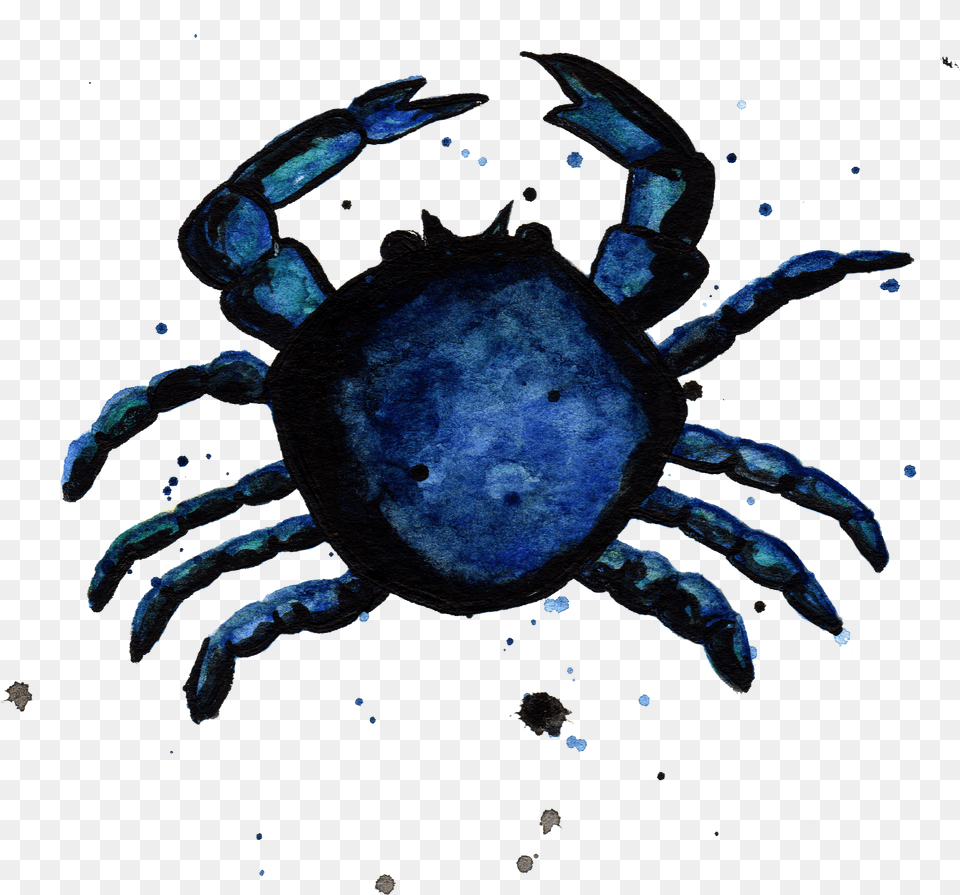 Download Blue Crab By Chrystal Elizabeth Water Image Cancer Png