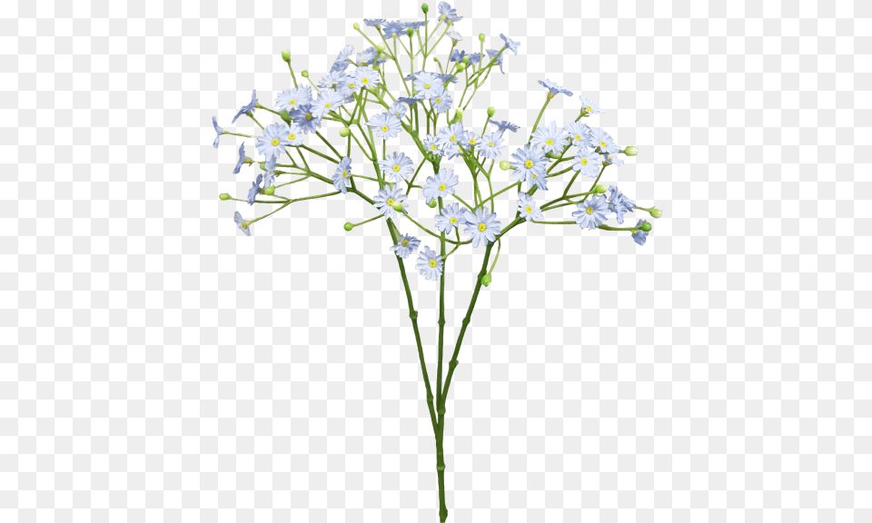 Download Blue Cut Bouquet Breath Flower Baby S Breath Baby39s Breath Flower, Flower Arrangement, Plant, Daisy, Petal Png