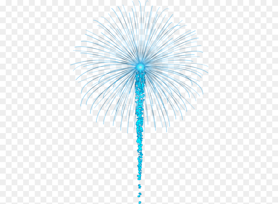 Download Blue Fireworks Transparent Blue Firework Transparent Background, Plant Png