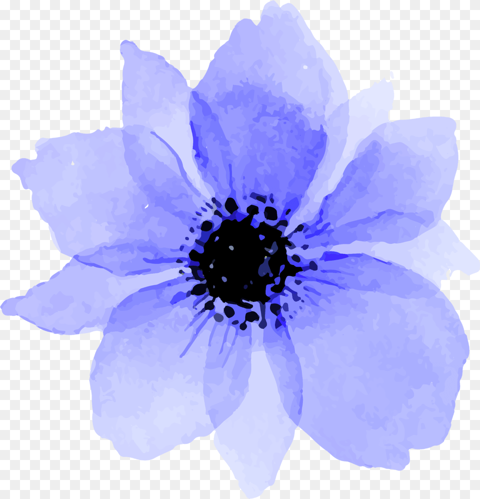 Download Blue Purple Flowers Flower Watercolor Flower, Anemone, Petal, Plant, Anther Free Png