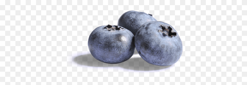 Download Blueberries Clipart Blueberries With No Blueberry Berries Transparent Background, Berry, Food, Fruit, Plant Png