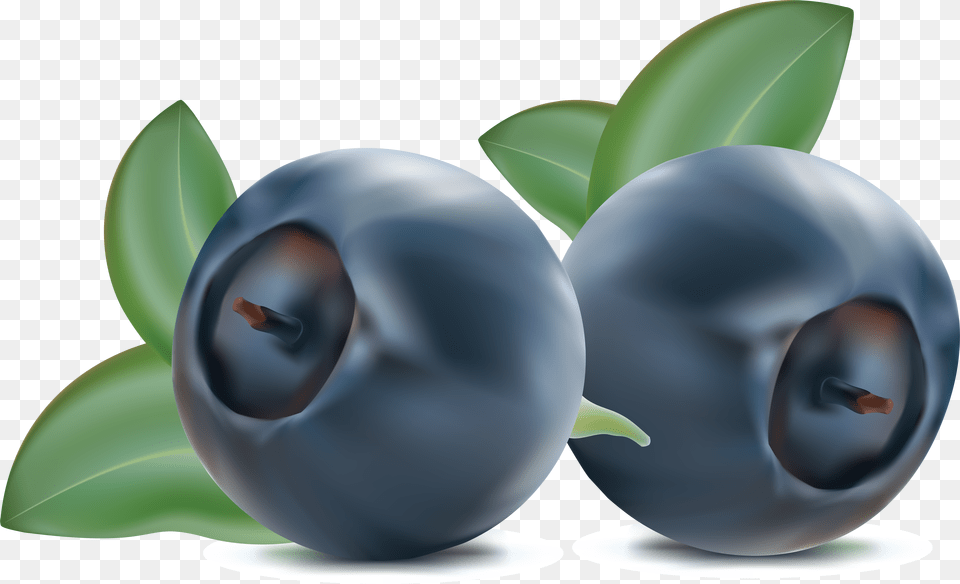 Download Blueberries Image For Blueberries Clipart Free Png