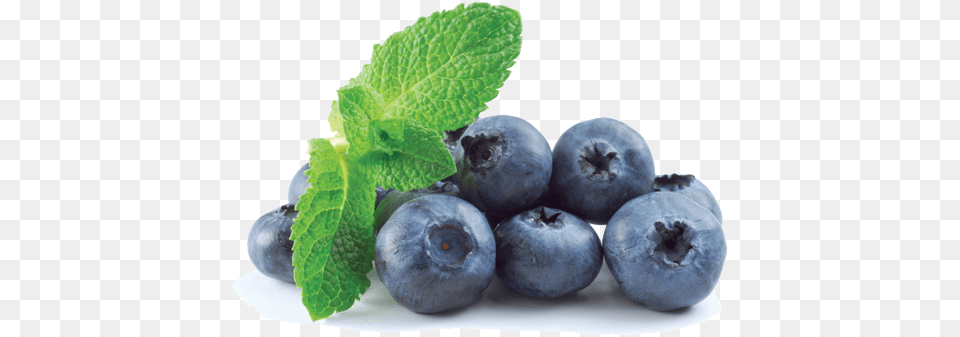 Download Blueberry Transparent Blueberry Transparent, Berry, Food, Fruit, Plant Free Png