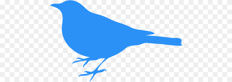 Bluebird Bird Animal Blue Bird Silhouette Clip Art, Jay, Person Free Png Download