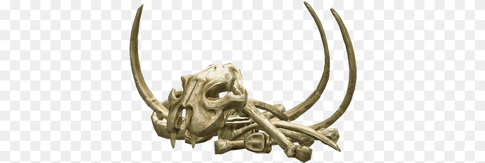 Download Bones 067 Bone, Animal, Antelope, Mammal, Wildlife Free Transparent Png