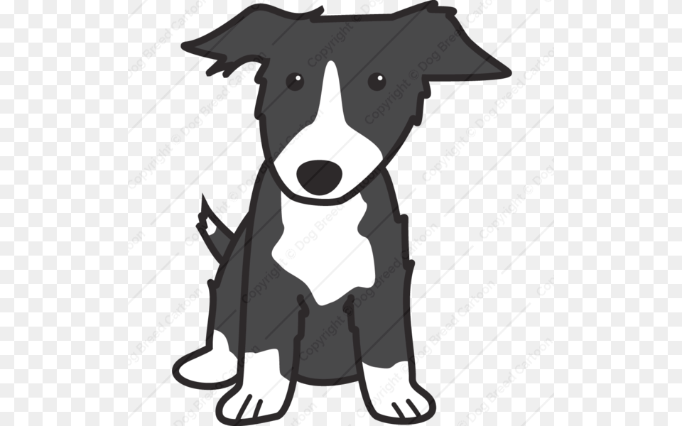 Download Border Collie Cartoon Clipart Border Collie Rough Collie, People, Person, Animal, Canine Png Image