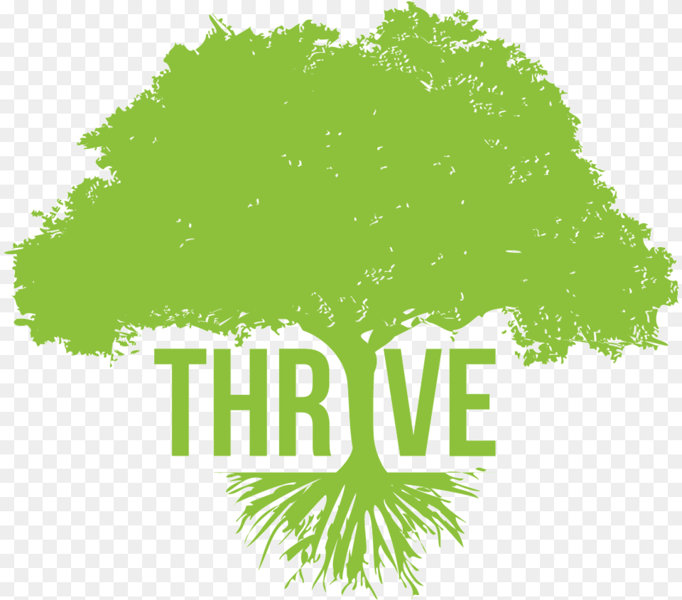 Download Breaking Bad Logo Thrive Tree, Green, Plant, Vegetation, Moss Free Png
