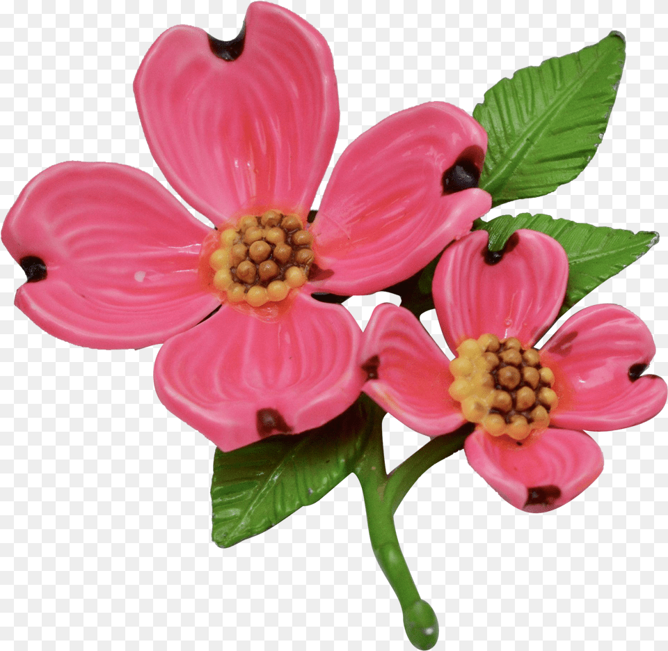Bright Pink Enamel Dogwood Pink Dogwood Flower, Anther, Dahlia, Petal, Plant Free Png Download