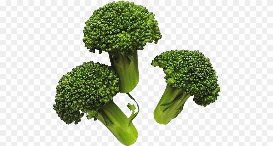 Download Broccoli For Designing Projects Cooked Broccoli, Food, Plant, Produce, Vegetable Png Image